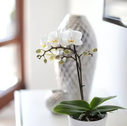 Rezydencja Redlowo Apartment Gdynia